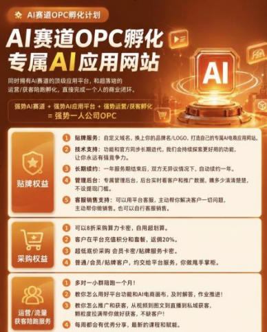 【首发】OPC一人公司项目，单日500 ，手机电脑不限制，打造属于自己的品牌画布AI产品，收费陪跑【揭秘】