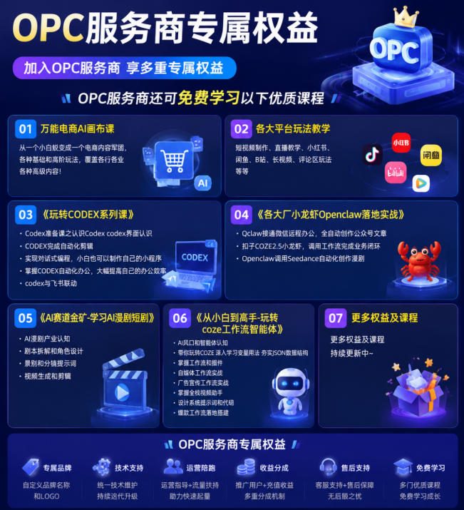 【首发】OPC一人公司项目，单日500 ，手机电脑不限制，打造属于自己的品牌画布AI产品，收费陪跑【揭秘】